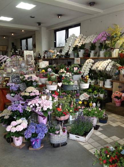 「フローリストやまおか」　（愛媛県喜多郡内子町）の花屋店舗写真4